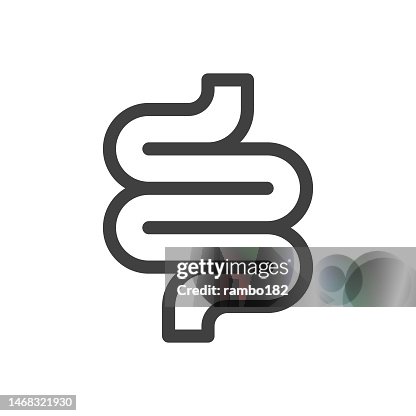 Bowel Line Vector Icon on White Background. Editable Stroke. Pixel Perfect. For Mobile and Web. Outline Vector Graphics. Bowel Line Vector Icon on White Background. Editable Stroke. Pixel Perfect. For Mobile and Web. Outline Vector Graphics.