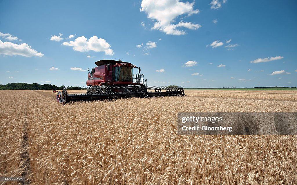 General Images Of Winter Wheat Harvest