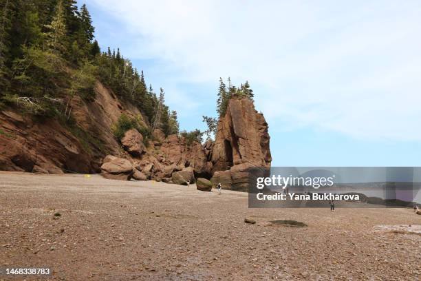 famous hopewell rocks provincial park at low tide - geographical locations foto e immagini stock