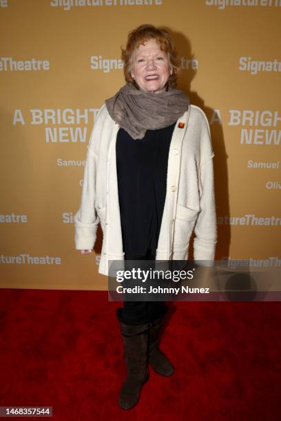 Becky Ann Baker attends as Signature Theatre presents the premiere of Samuel D. Hunter's "A Bright New Boise" at Signature Theatre on February 21,...