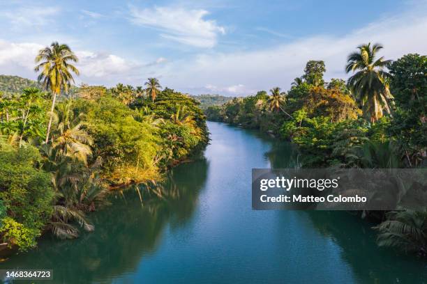 aerial view of loboc river and jungle, bohol, philippines - philippines aerial stock pictures, royalty-free photos & images