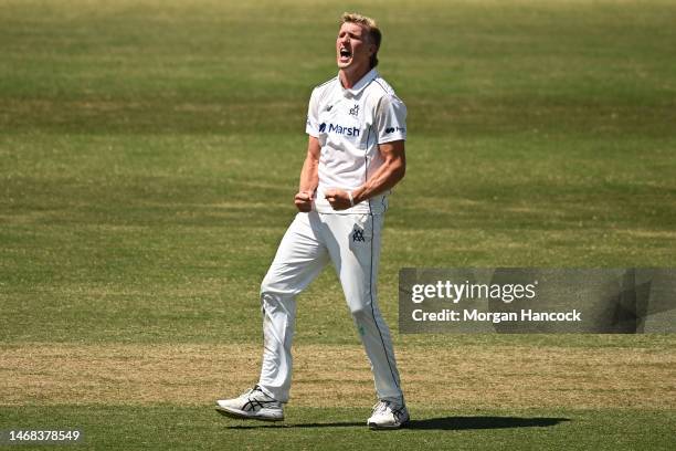 Will Sutherland of Victoria celebrates dismissing Daniel Drew of South Australia during the Sheffield Shield match between Victoria and South...