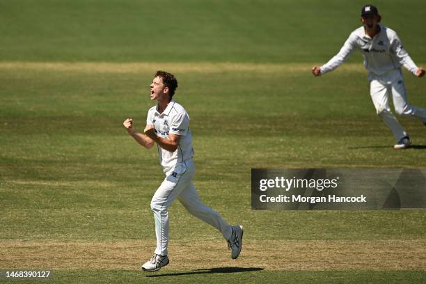 Mitchell Perry and Campbell Kellaway of Victoria celebrate after Perry took the wicket of Ben Manenti of South Australia during the Sheffield Shield...