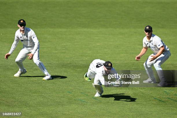 Josh Inglis of Western Australia takes the catch to dismiss Peter Siddle of the Tigers during the Sheffield Shield match between Tasmania and Western...