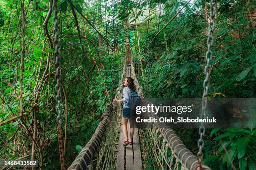 Woman walking on rope bridge in lush jungles a Woman walking on rope bridge in lush jungles a
