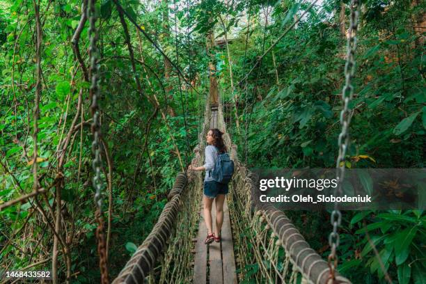 woman walking on rope bridge in lush jungles a - discovery bags walking stock pictures, royalty-free photos & images