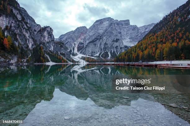 reflections in the lago di braies, in the dolomites. - gaia filippi stock pictures, royalty-free photos & images