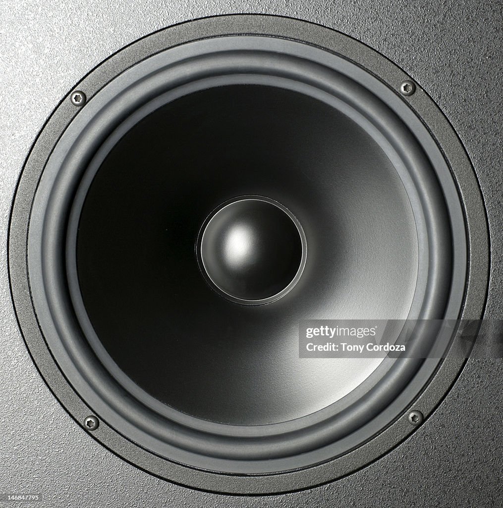 Audio speaker cone