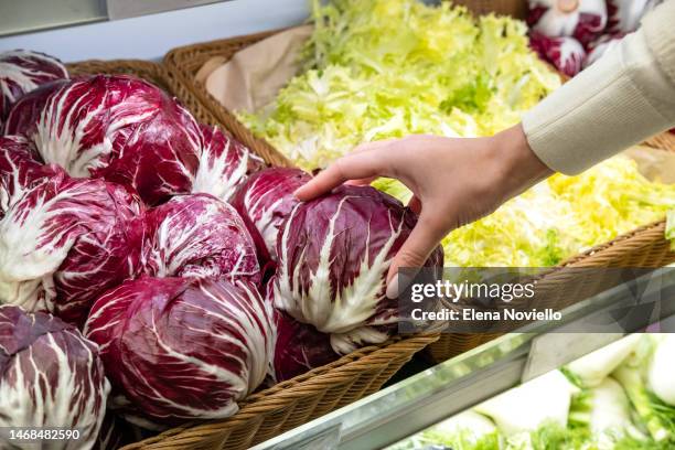 a woman chooses fresh bio radicchio lettuce or cabbage at a vegetable store - radicchio stock pictures, royalty-free photos & images