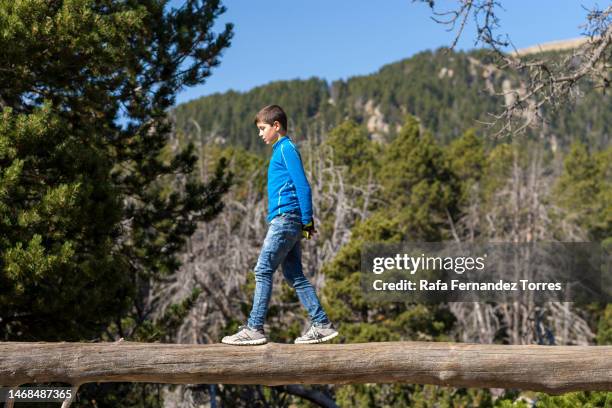 Tree Walkboy 3,369 Walking Across Log Stock Photos, High-Res Pictures, and Images ...