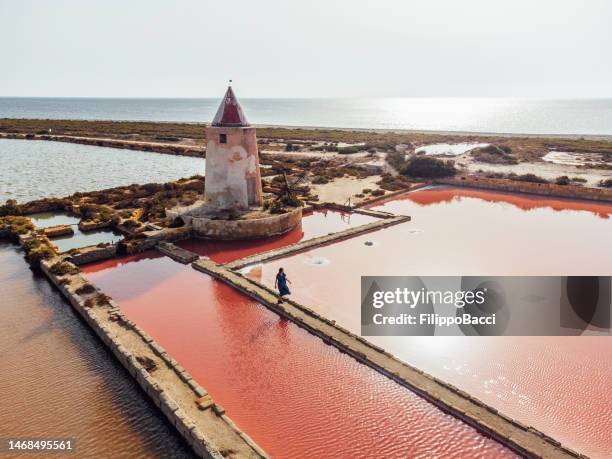 vista aerea di una donna che cammina nelle saline rosa in sicilia, italia - sicilia foto e immagini stock