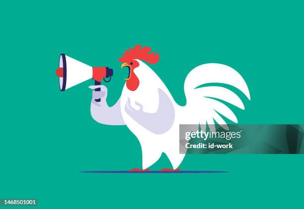 rooster holding loudspeaker and crowing - chicken cartoons stock illustrations