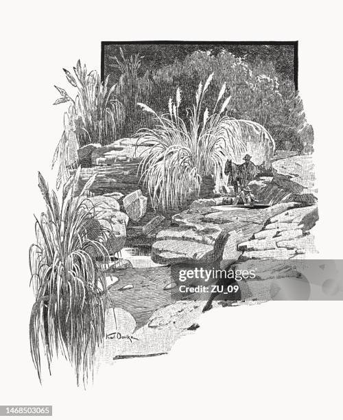 source in the cordillera of argentina, wood engraving, published in 1899 - continental divide stock illustrations