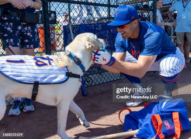 New York Mets outfielder Brandon Nimmo smiles as he pets Shea, The Mets' Vet service dog during a spring training workout on Feb. 21, 2023 in Port...