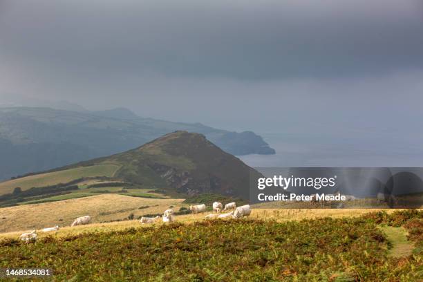 looking towards the little hangman from the southwest coast path - south west coast path stock pictures, royalty-free photos & images