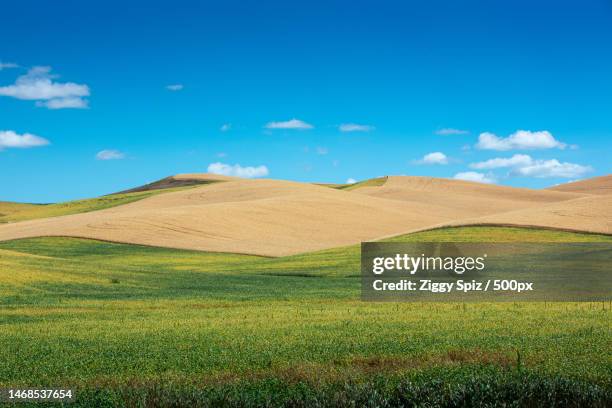 scenic view of field against blue sky,seattle,washington,united states,usa - seattle landscape stock pictures, royalty-free photos & images