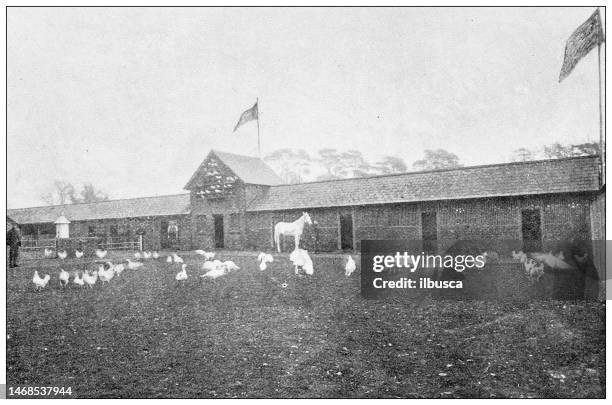 antique photograph of dorset, england: white farm, crichel - black and white landscape stock illustrations