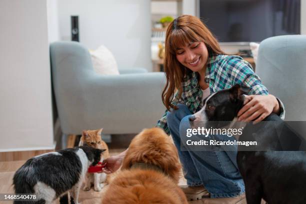 woman feeding her pets at home - cat eating stock pictures, royalty-free photos & images