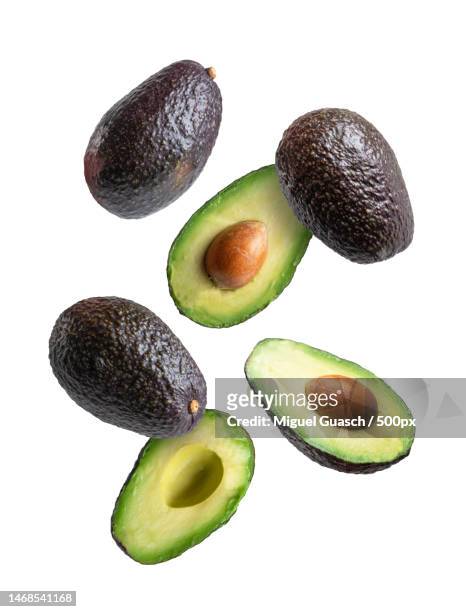 flying avocados isolated on white background,barcelona,spain - brutal honesty stock pictures, royalty-free photos & images