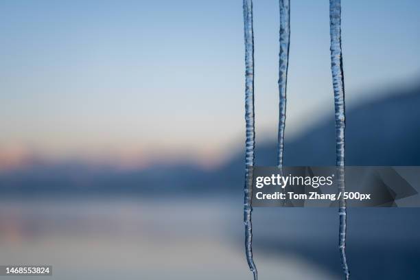 close-up of icicles against sky during sunset,donner pass,california,united states,usa - donner pass stock pictures, royalty-free photos & images