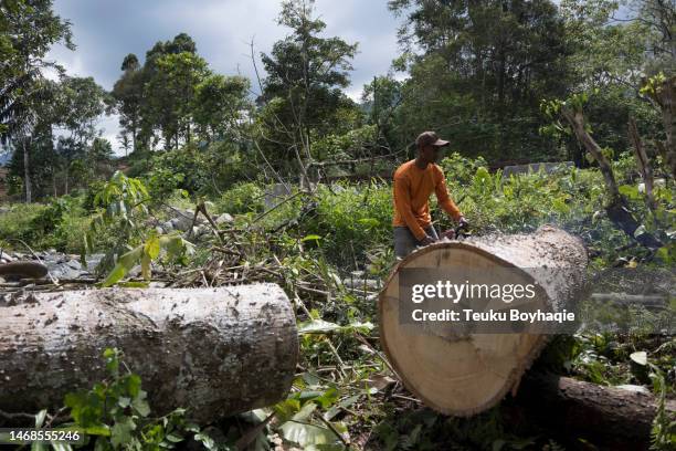 young man splitting wood with chainsaw machine - stock photo - grass clearcut stock pictures, royalty-free photos & images