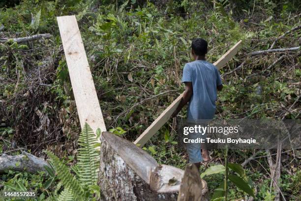 the man lifted the plank that had been split - stock photo - grass clearcut stock pictures, royalty-free photos & images