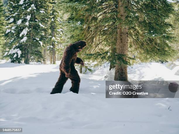 sasquatch bigfoot in a winter forest - big foot stock pictures, royalty-free photos & images