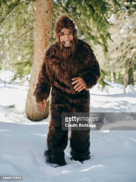 sasquatch bigfoot in a winter forest - bigfoot snow stock pictures, royalty-free photos & images