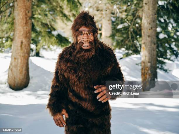 sasquatch bigfoot in a winter forest - bigfoot snow stock pictures, royalty-free photos & images