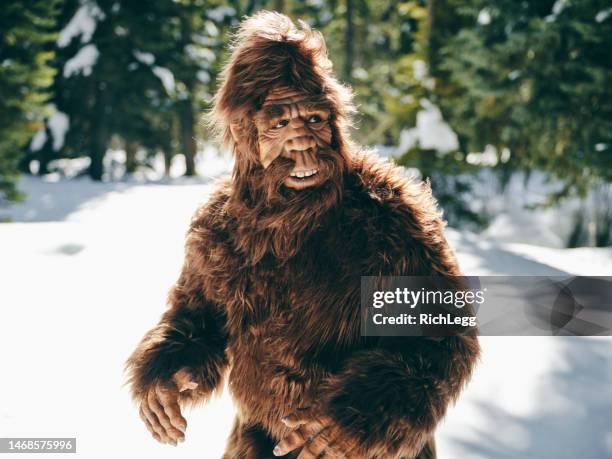 sasquatch bigfoot in a winter forest - bigfoot snow stock pictures, royalty-free photos & images