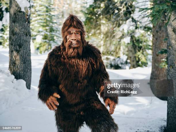 sasquatch bigfoot in a winter forest - bigfoot snow stock pictures, royalty-free photos & images