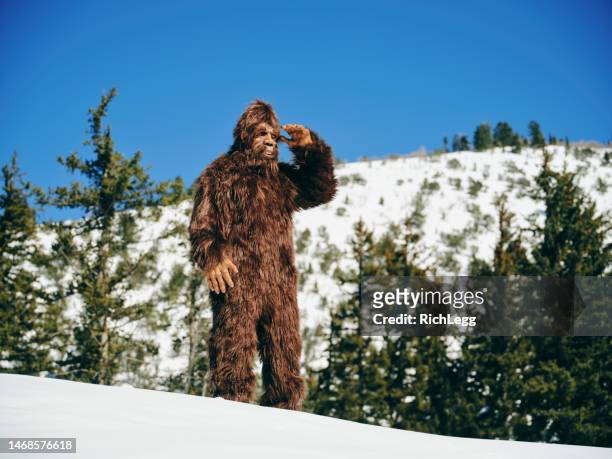 sasquatch bigfoot in a winter forest - bigfoot snow stock pictures, royalty-free photos & images