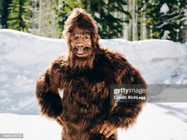 sasquatch bigfoot in a winter forest - bigfoot stock pictures, royalty-free photos & images