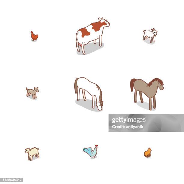 animals - animals isometric stock illustrations