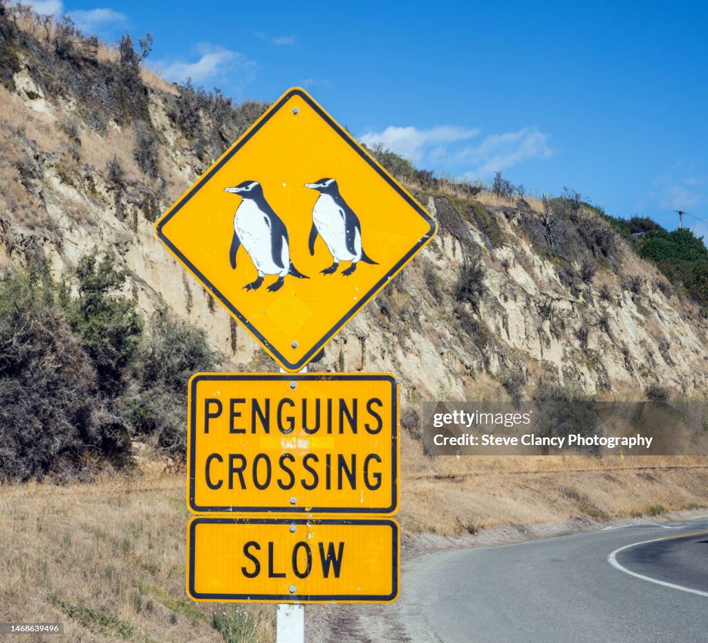 Penguin crossing sign