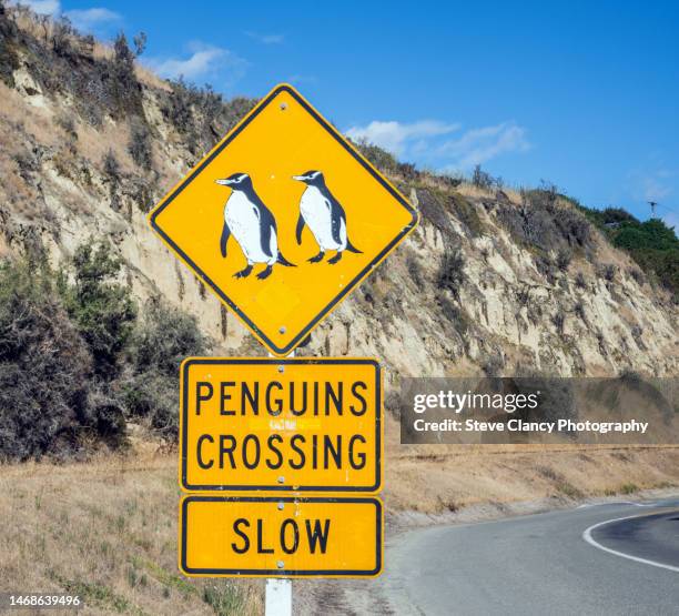 Penguin Sign 715 Penguin Sign Stock Photos, High-Res Pictures, and Images - Getty Images
