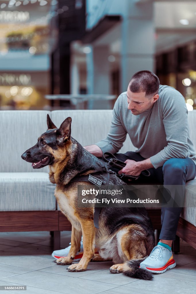 German Shepard service dog with owner in the city