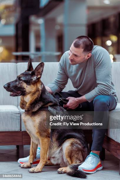 german shepard service dog with owner in the city - german shepherd sitting stock pictures, royalty-free photos & images