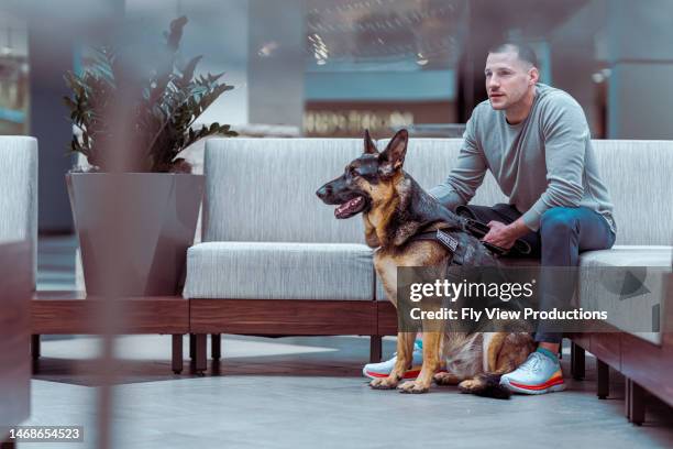 man with german shepard service dog waiting in modern lobby - assistance dog stock pictures, royalty-free photos & images