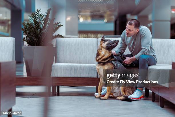 man with german shepard service dog waiting in modern lobby - emotional support animal stock pictures, royalty-free photos & images