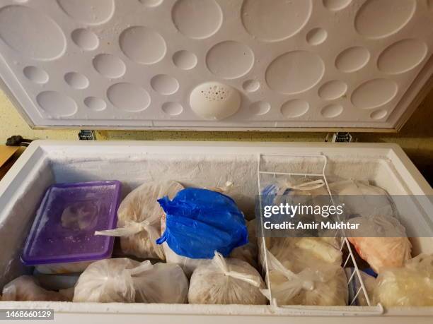 frozen food saved in deep freezer in freezer bags. - koelkast stockfoto's en -beelden