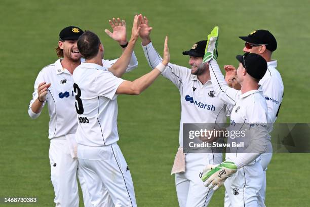 Joel Paris of Western Australia celebrates the wicket of Jordan Silk of the Tigers during the Sheffield Shield match between Tasmania and Western...