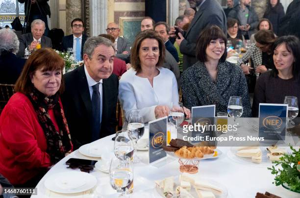 The first vice-president of the Senate and president of the PSOE, Cristina Narbona; the former Prime Minister Jose Luis Rodriguez Zapatero; the third...