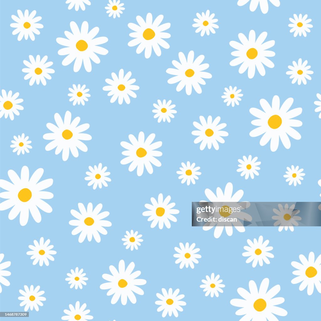 Nahtloses Muster mit Gänseblümchen auf blauem Hintergrund. Stock-Illustration