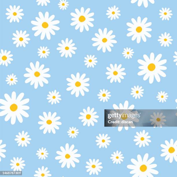 ilustraciones, imágenes clip art, dibujos animados e iconos de stock de patrón sin costuras con margaritas sobre un fondo azul. ilustración de stock - manzanilla