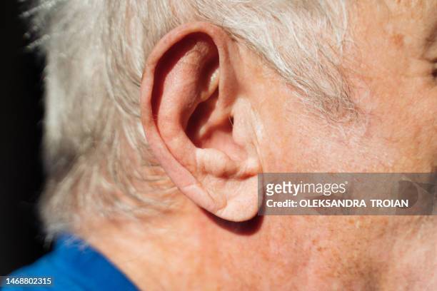 close-up of old man ear and grey hair in bright sunlight - human ear close up stock pictures, royalty-free photos & images