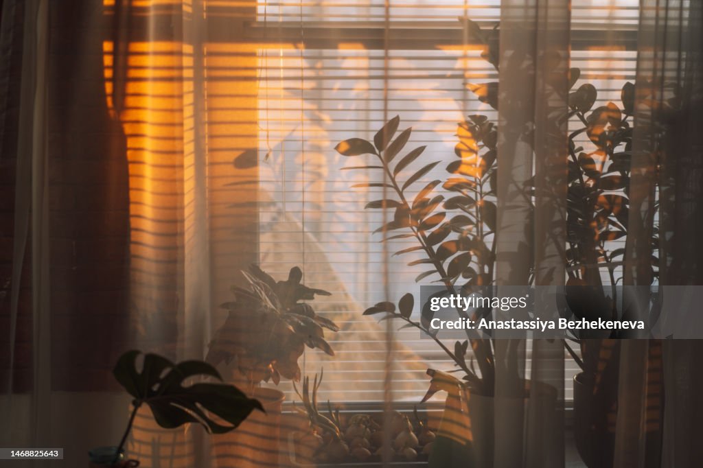 Windows Sun Rising The Rays Of The Rising Sun Pass Through The Window High-Res Stock Photo ...