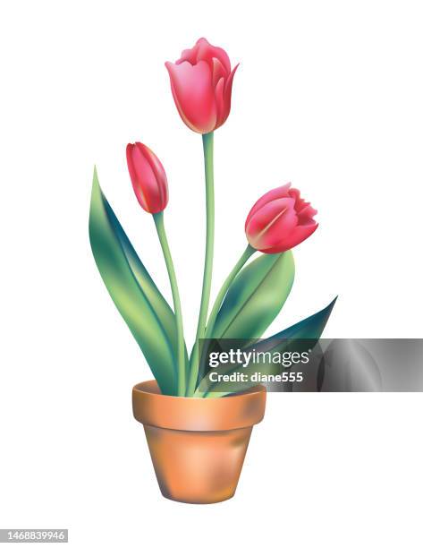 gradient pink tulips in a clay pot - empty flower pot stock illustrations