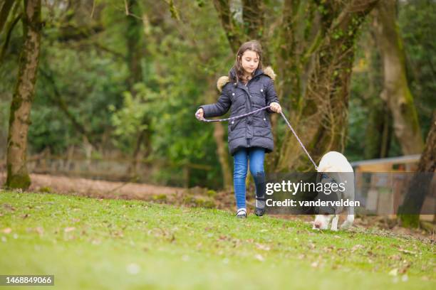 happy little girl walking her dog - long leash stock pictures, royalty-free photos & images