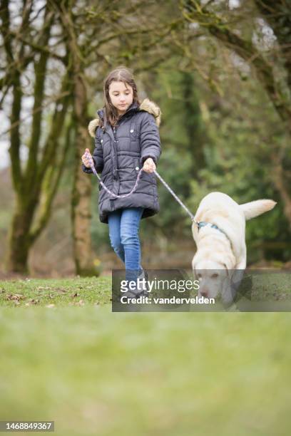 happy little girl walking her dog - long leash stock pictures, royalty-free photos & images